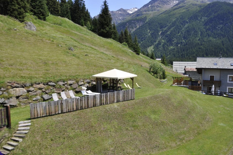 Garden, Solarium, Garden view, sunbed