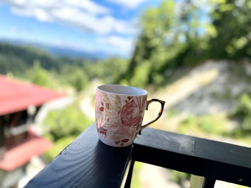 Natural landscape, View (from property/room), Balcony/Terrace, Mountain view