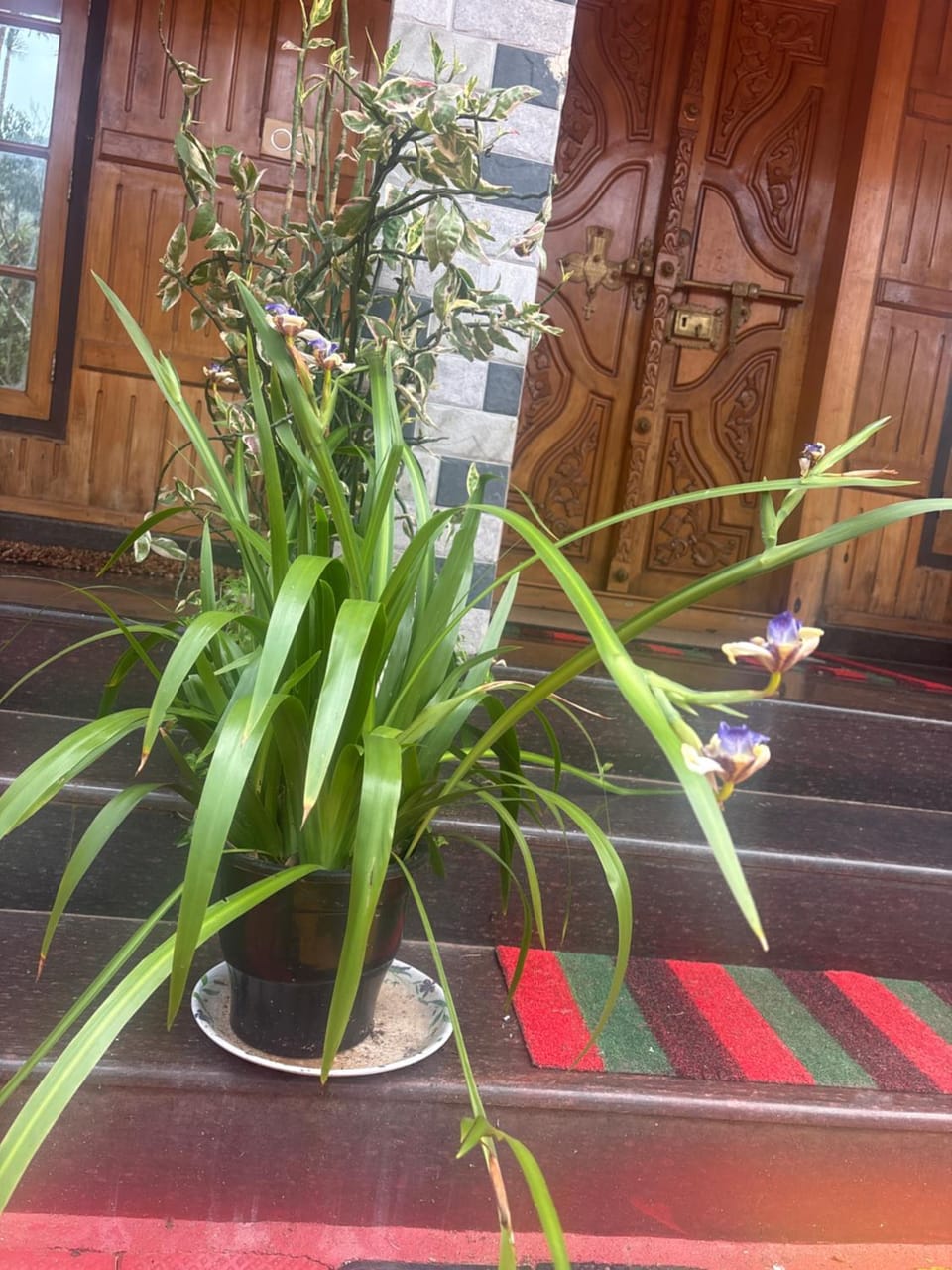 Casa Grande Homestay Anaviratty Munnar Vacation rental in Kerala
