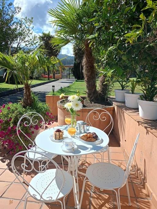 Patio, Garden, Garden view