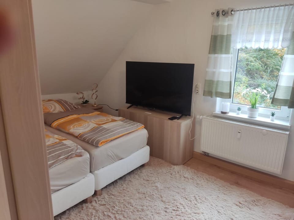 Ferienwohnung Erz mitten im Erzgebirge Apartment in Erzgebirgskreis