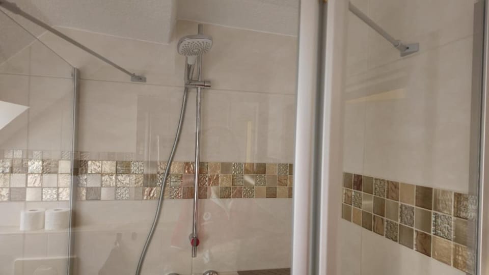 Ferienwohnung Erz mitten im Erzgebirge Apartment in Erzgebirgskreis