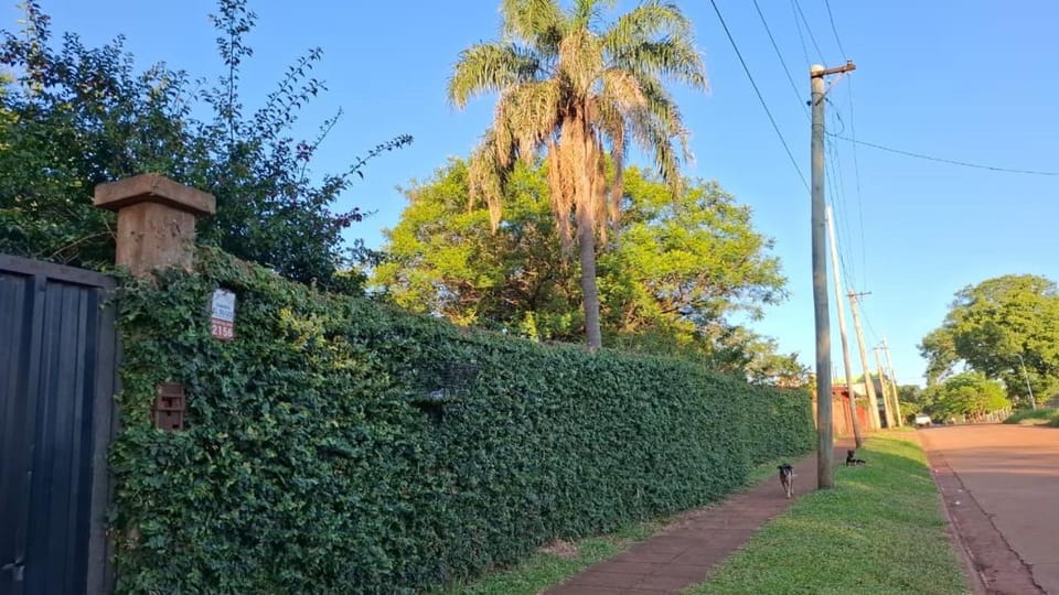 Cabañas lodge El Suizo House in Misiones Province, Argentina