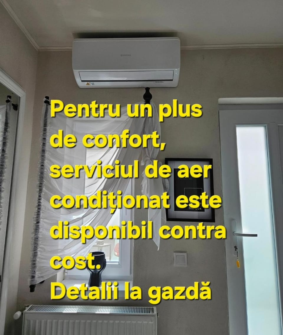 House Abi Apartment Apartment in Sibiu