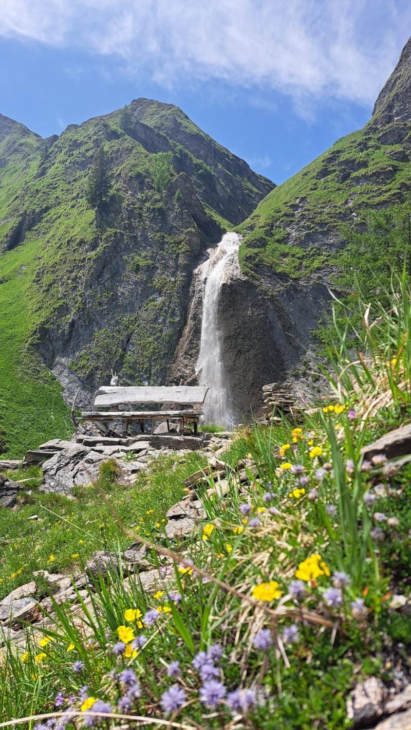 Natural landscape