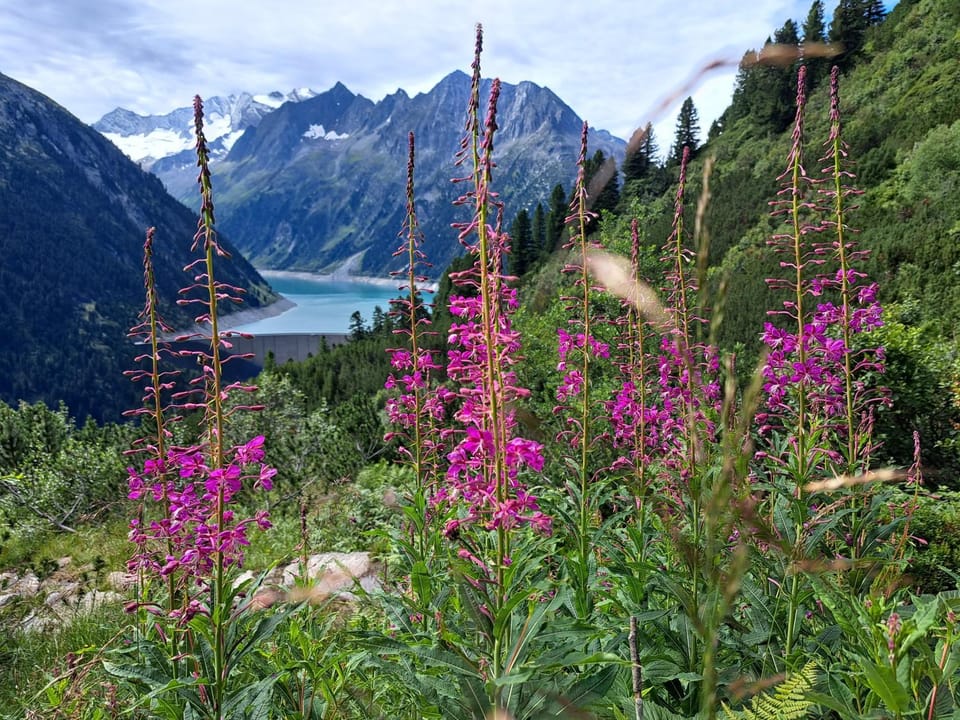 Natural landscape
