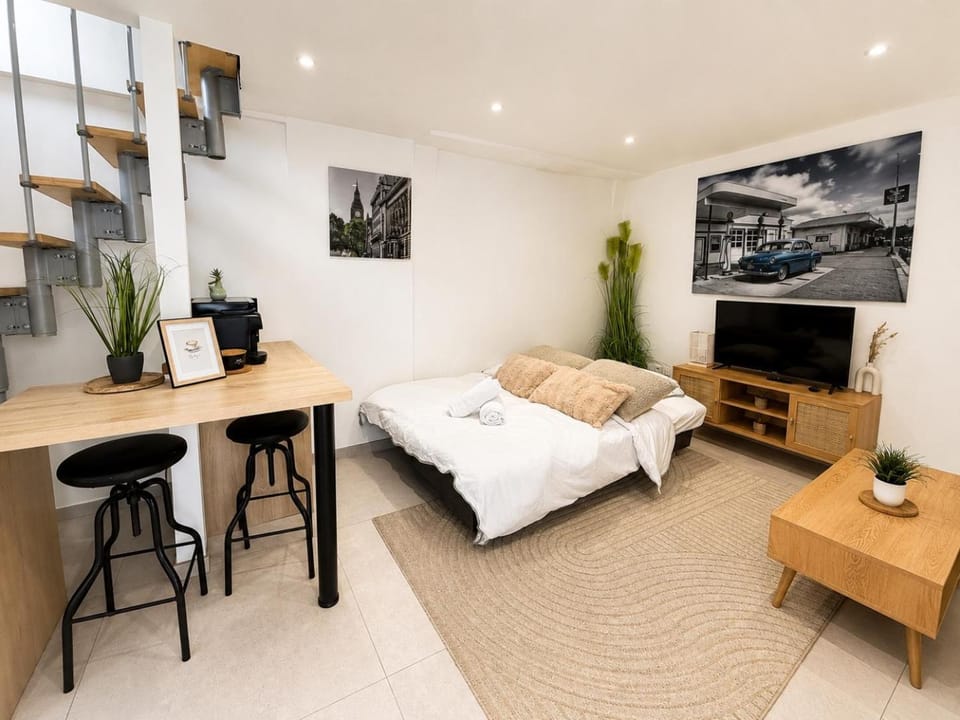 Duplex with private outdoor spa close to Strasbourg city center Apartment in Strasbourg