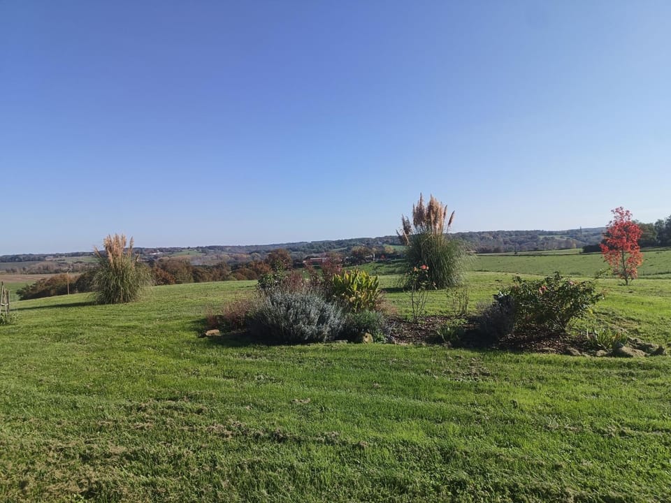 Le Basque, le palmier exotique Bed and Breakfast in Nouvelle-Aquitaine