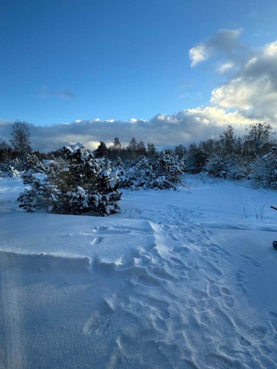 Day, Natural landscape, Winter, View (from property/room)