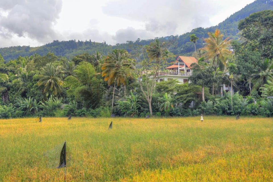 Natural landscape
