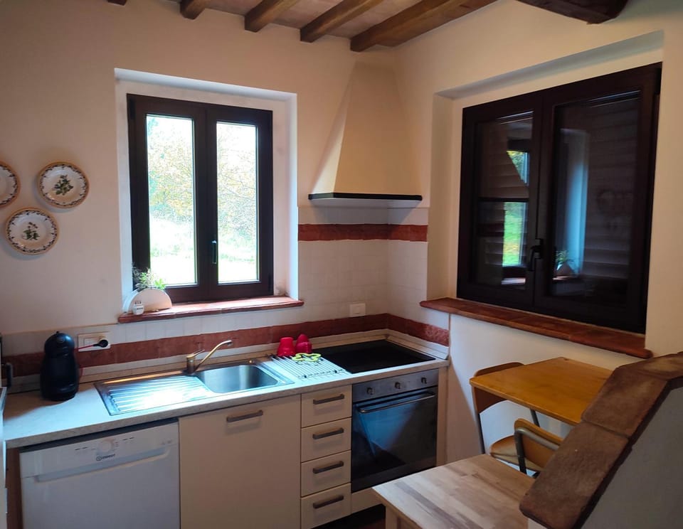 Kitchen or kitchenette, dishwasher, oven