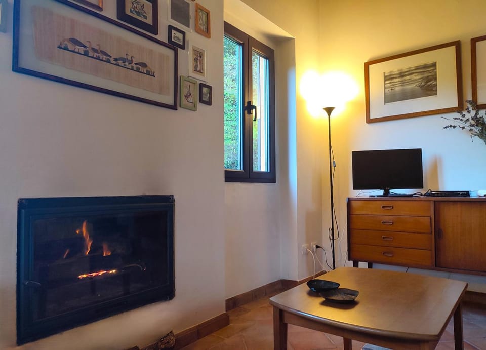 TV and multimedia, fireplace