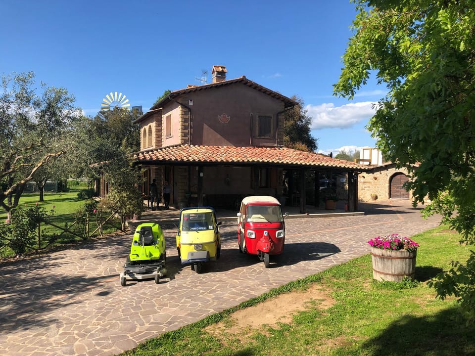 Property building, Patio, Garden