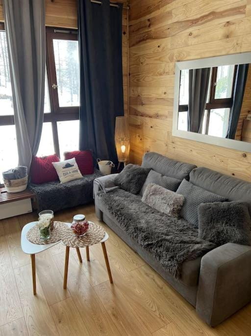 Studio front de neige pelevos Apartment in Isola