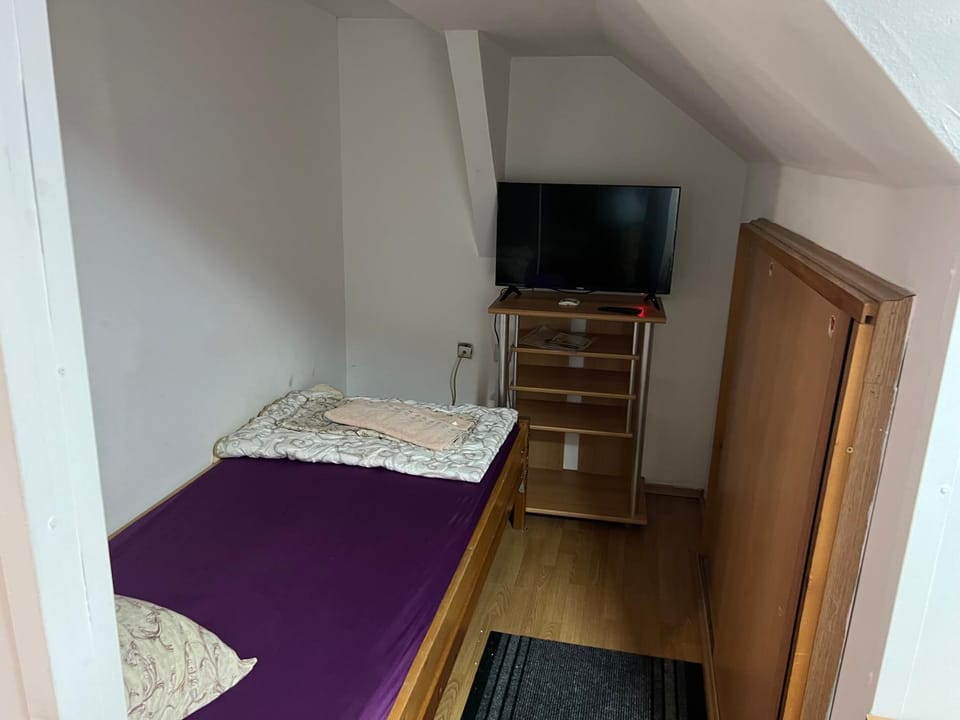 Slobo Velickovic Apartment in Serbia