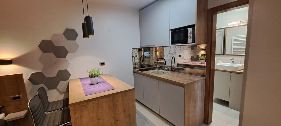 Kitchen or kitchenette, dishwasher, stove