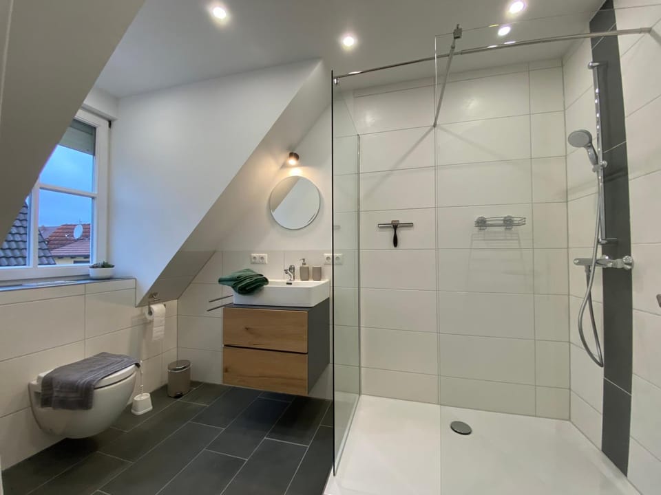 Shower, Toilet, Bathroom, towels