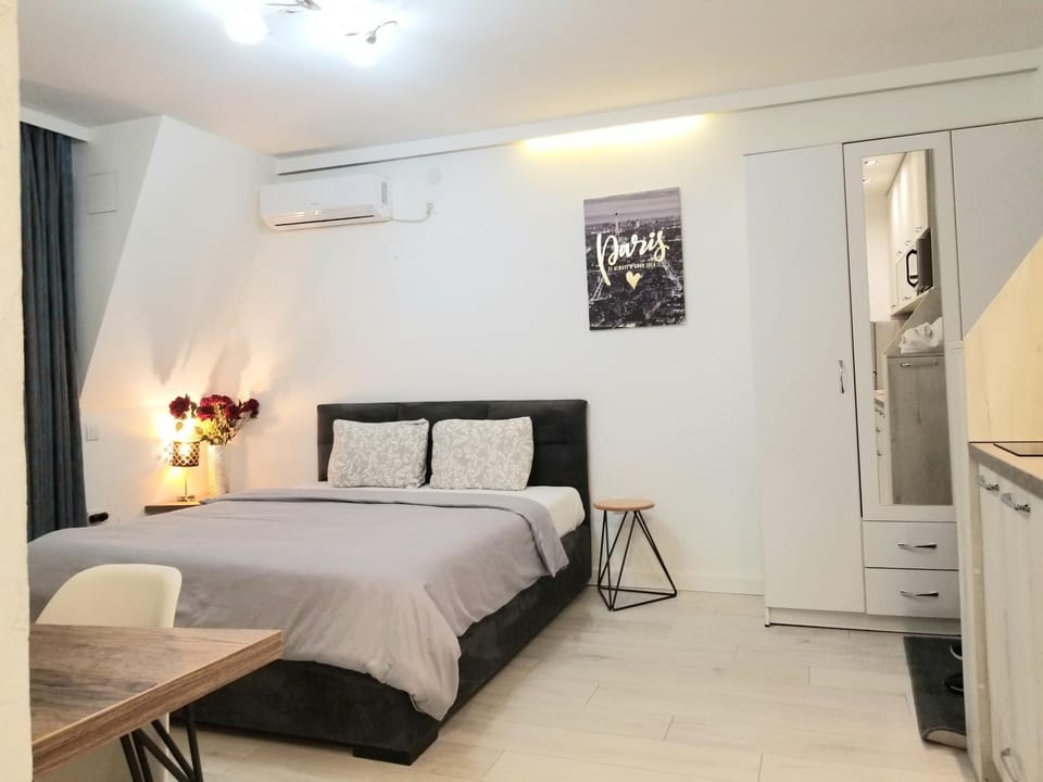 Rose City Centre Apartment Apartment in Belgrade