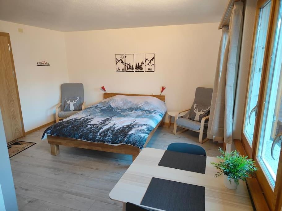 Skirennen von der Terrasse mitverfolgen Apartment in Adelboden