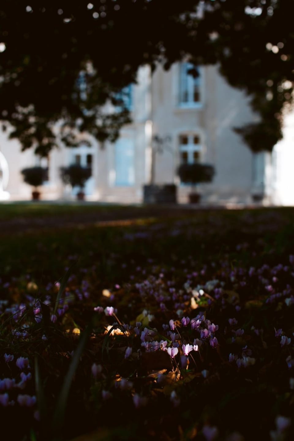 Property building, Spring, Day, Natural landscape, Garden, Garden view