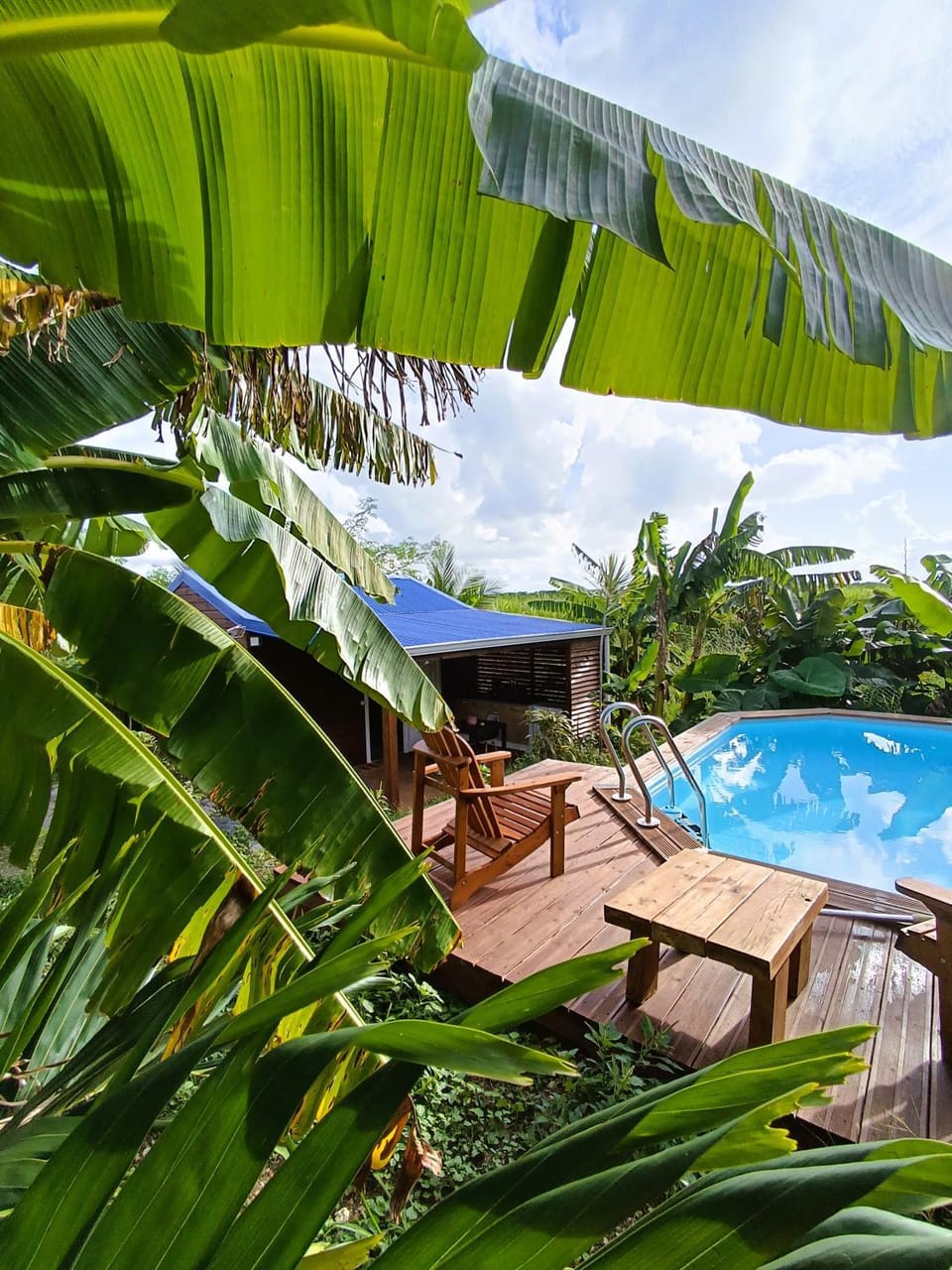 Pool view