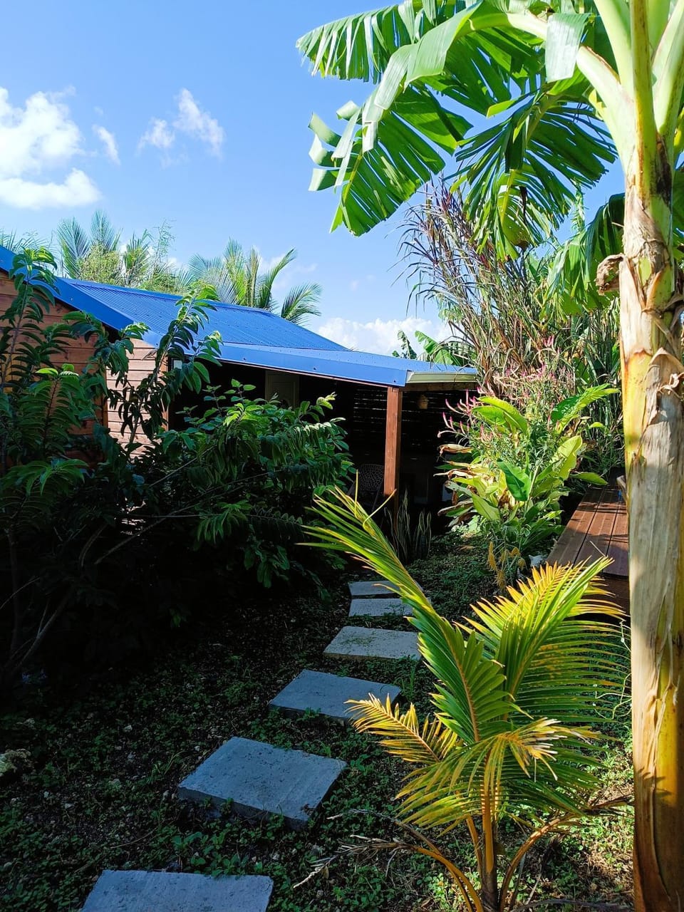 Gites kaz à klemence - bungalow Colibris House in Grande-Terre, Guadeloupe
