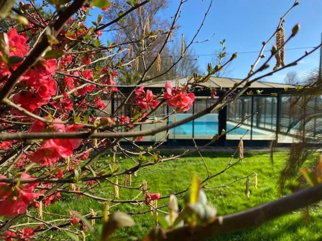 Garden view
