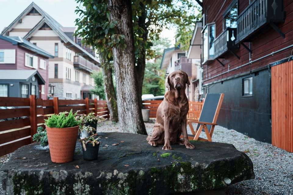 The Bears Lodge Hotel in Hakuba