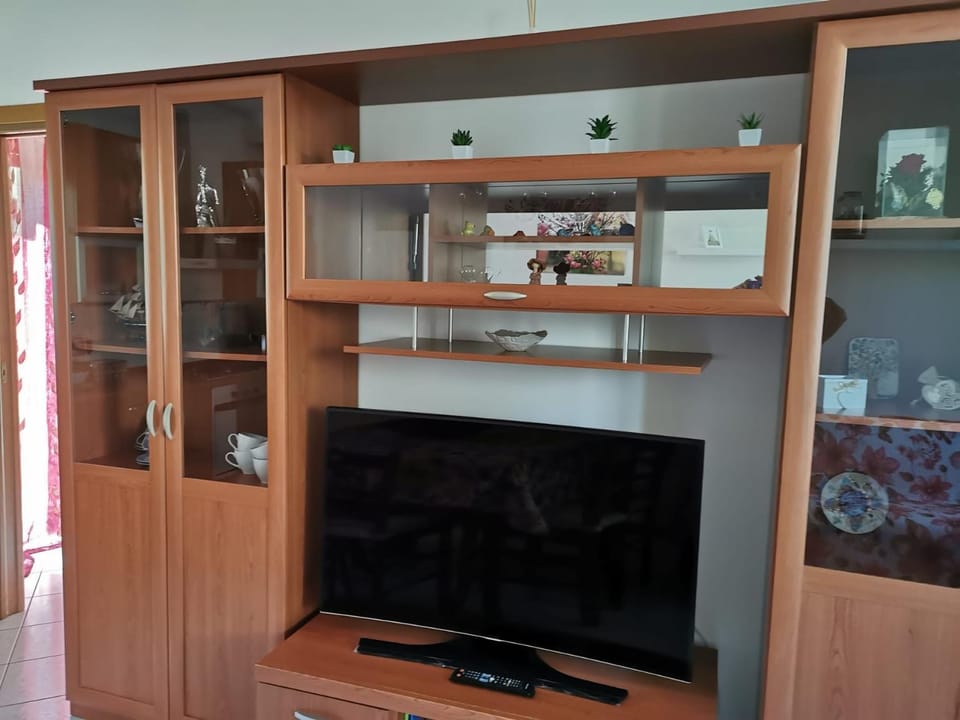 TV and multimedia
