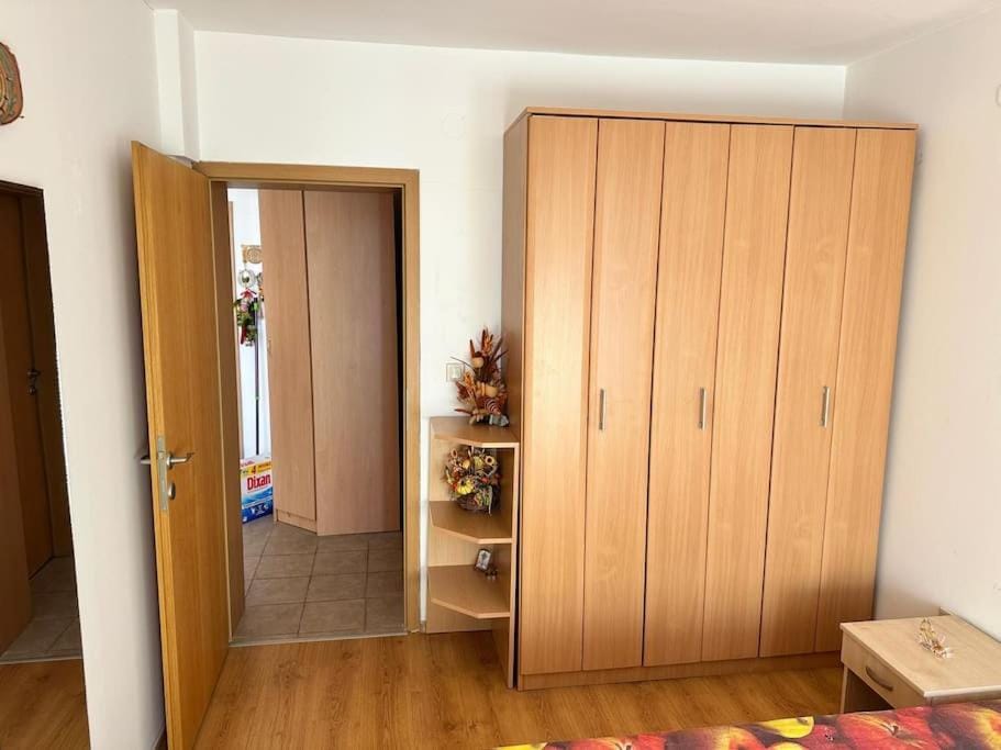 Cozy apartmen with Mountain view Apartment in Blagoevgrad Province