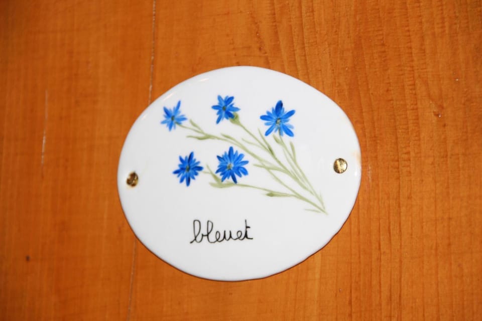 Le Mas des Cigales House in Avignon