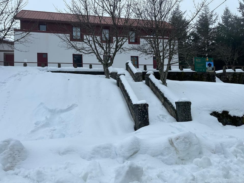 Property building, Natural landscape, Winter