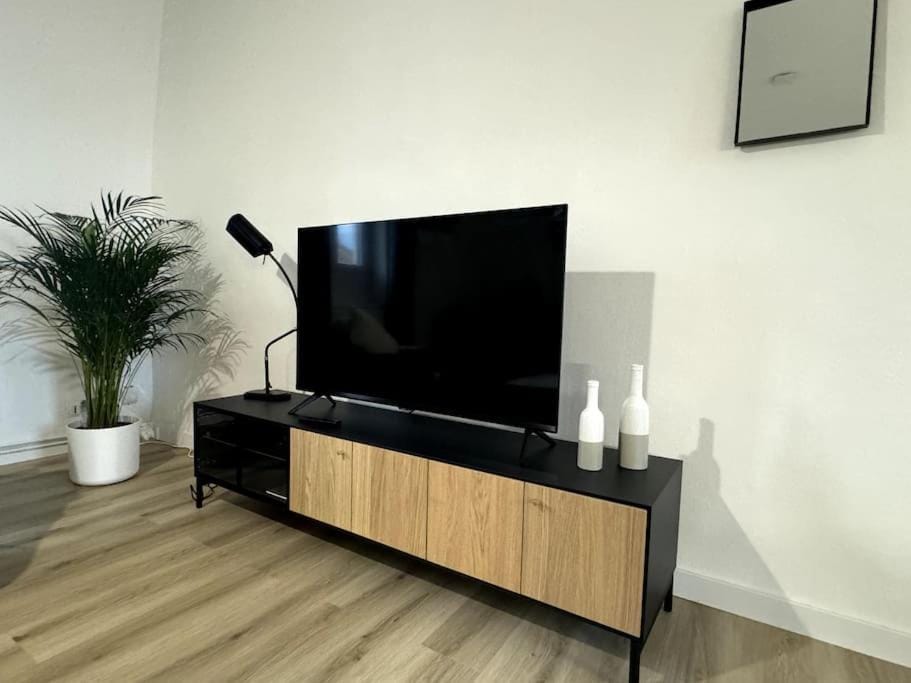TV and multimedia