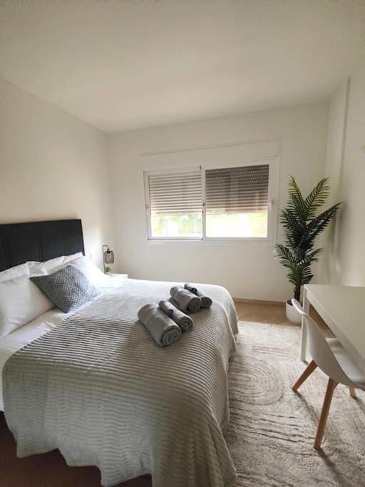 Costalita Direct Beach Access Apartment Apartment in Costa del Sol