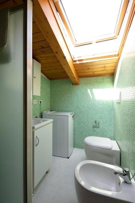 Toilet, Bathroom, laundry, washing machine