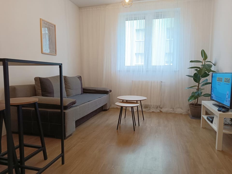 minimalistic Apartment in Czechia