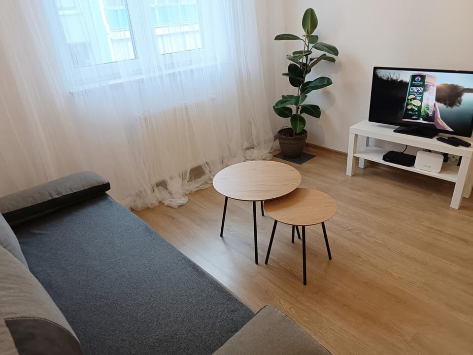 minimalistic Apartment in Czechia