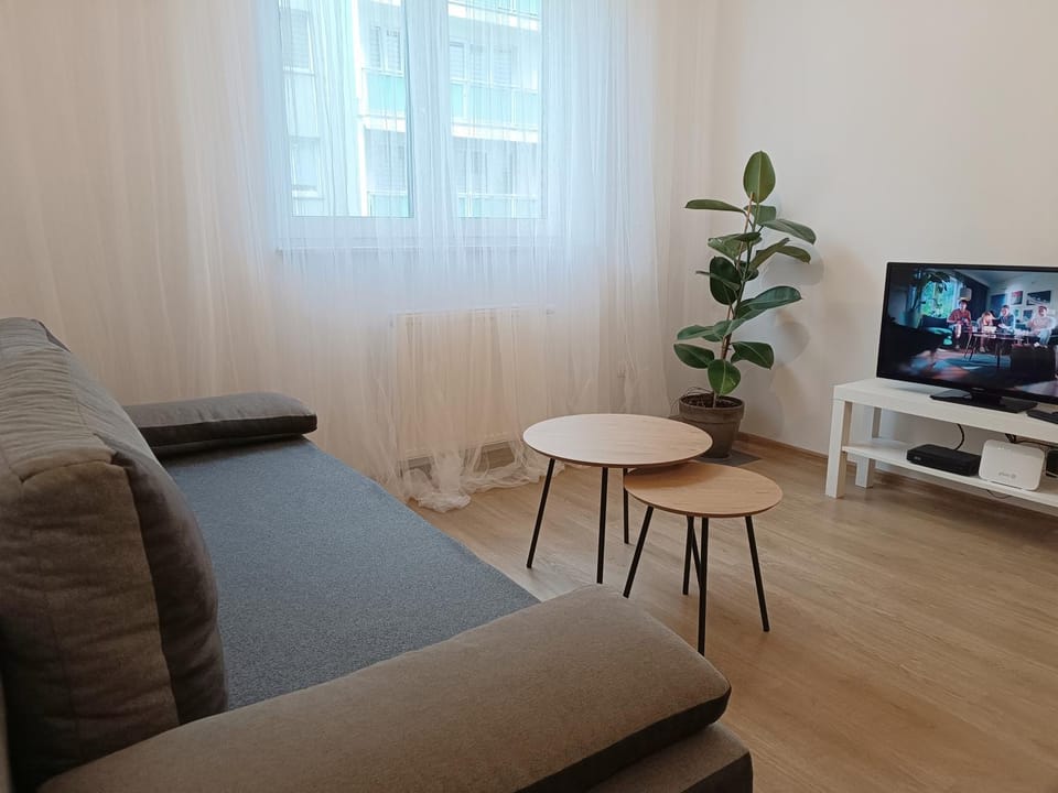 minimalistic Apartment in Czechia