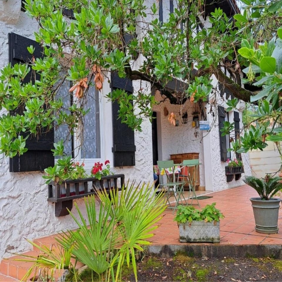 Property building, Garden, Garden view