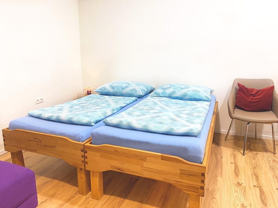 Vienna Senator Flat Paulus Apartment in Vienna