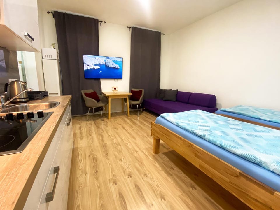 Vienna Senator Flat Paulus Apartment in Vienna