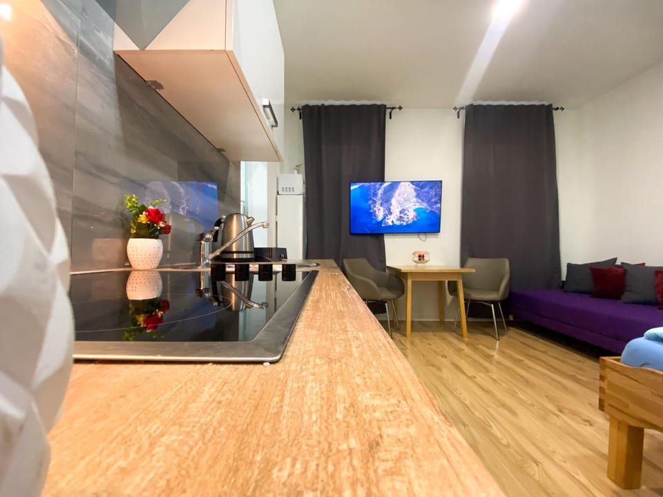 Vienna Senator Flat Paulus Apartment in Vienna