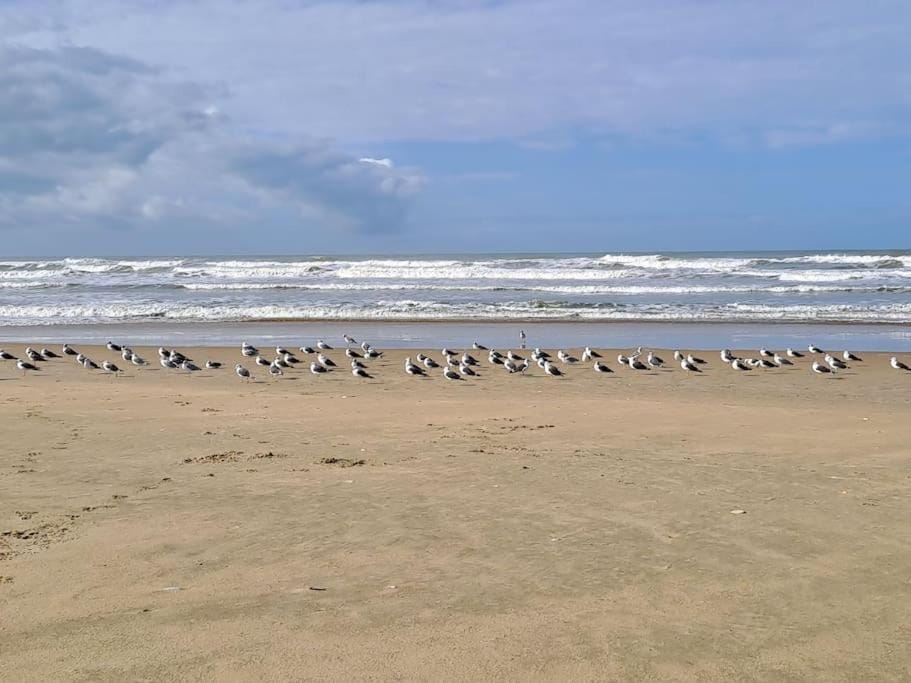 Natural landscape, Beach