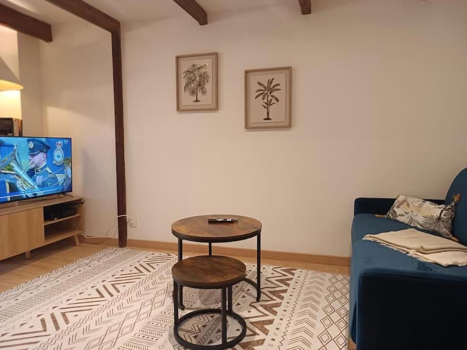 Petit loft des prisons Apartment in Annecy