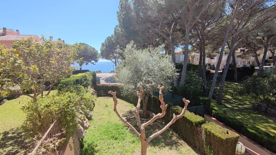 Sea view