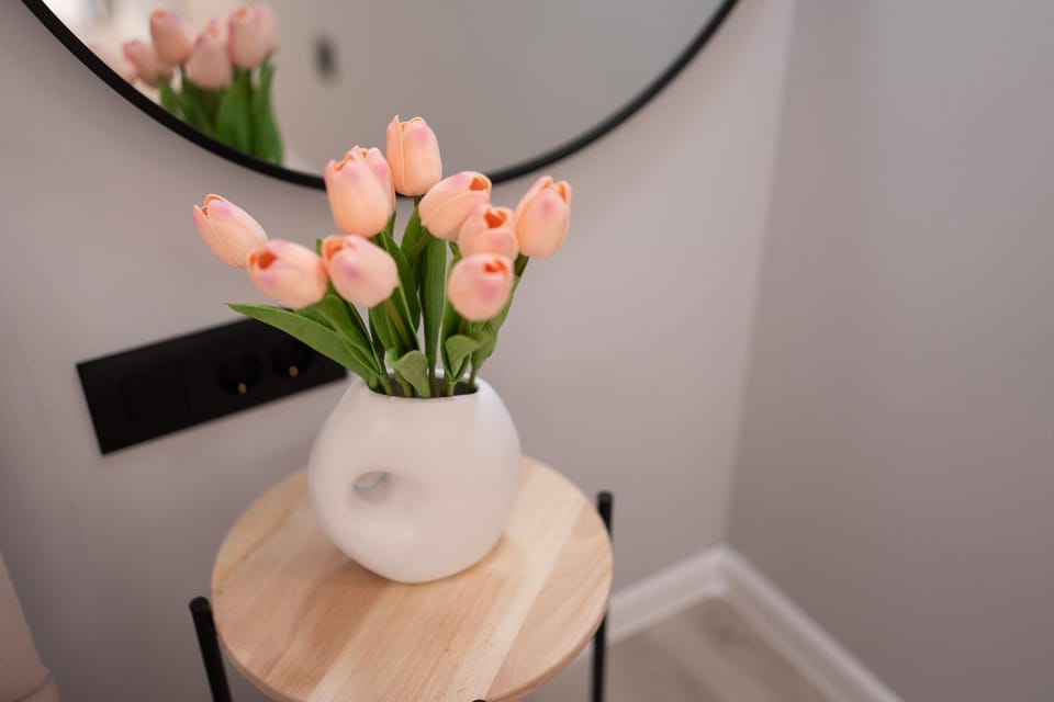 Studio Rosé Apartment in Mostar