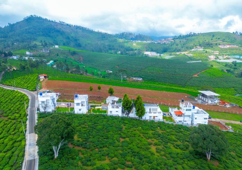 Property building, Bird's eye view, Garden, View (from property/room)