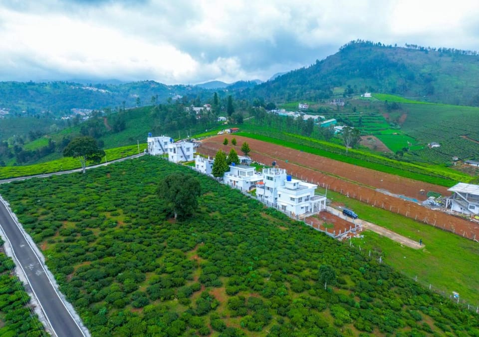 Property building, Bird's eye view, Garden, View (from property/room)