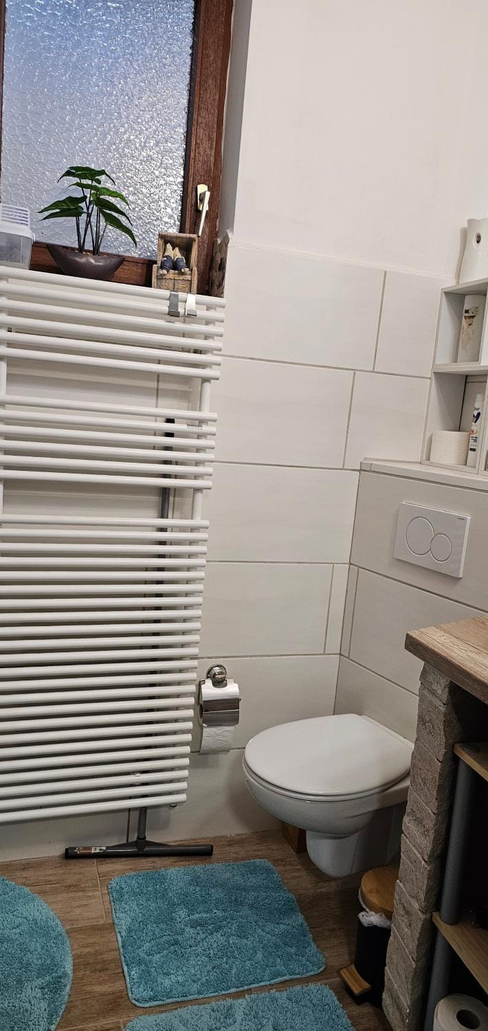 Bathroom, Living room