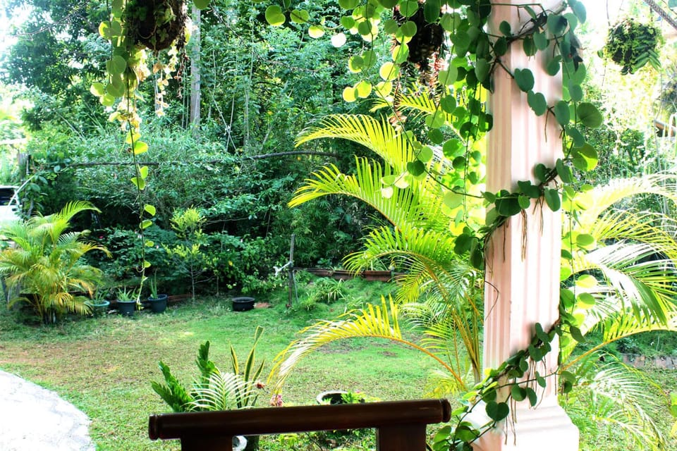 Garden, Garden view